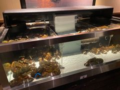 -RED LOBSTER(多伦多DT店)