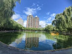 -团结湖公园