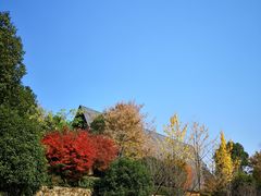-美丽洲堂