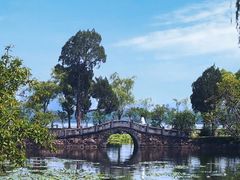 -无锡蠡湖国家湿地公园-蠡园