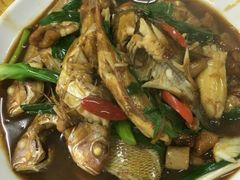 -莲花公园煎蟹(总店)
