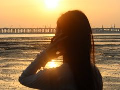 -宝安西湾红树林湿地公园