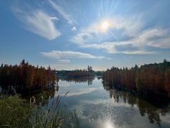 -白鹭湾湿地公园