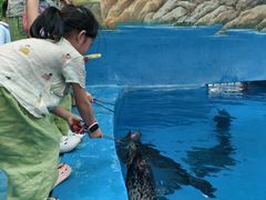 -海合安成都极地海洋公园