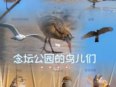 -大兴滨河森林公园