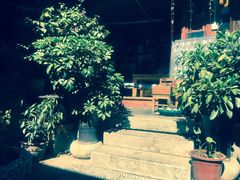 -五花石之旅客栈