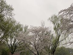 -杭州植物园