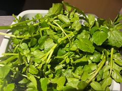 西洋菜-贵宾牛·潮汕牛肉火锅(珠池总店)