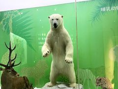 -国家自然博物馆