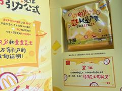 -麦当劳(南京路2店)