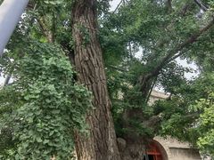 -北京石刻艺术博物馆(五塔寺)