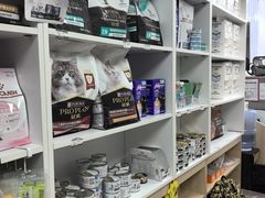 -宠福鑫康馨动物医院·骨科·眼科