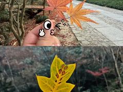-黄公望隐居地