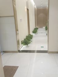 -王妃SPA·美容·科技抗衰