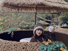 -清境桃源
