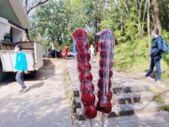 -紫金山山顶公园