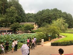 景点-韶山毛泽东同志故居