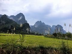 -明仕田园