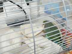 -博特宠物医院24h犬猫全科.骨科·异宠