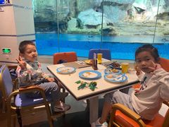 -帝企鹅自助餐厅•儿童岛•真企鹅(长隆企鹅酒店)