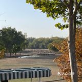 刷公园 南海子