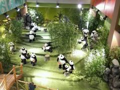 -成都泰迪熊博物馆