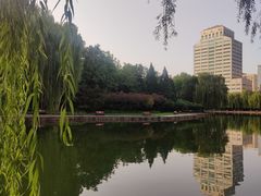 -团结湖公园