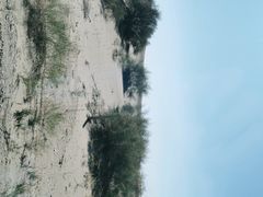 -亿利库布其七星湖沙漠生态旅游区