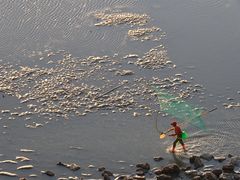 -北岐滩涂