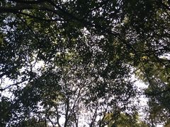 -玉女潭景区