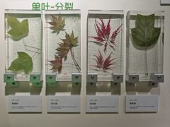 -中国湿地博物馆
