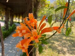 -龙环葡韵住宅式博物馆