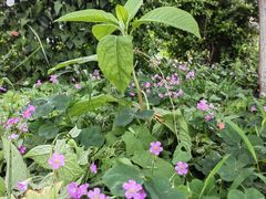 -湖南湘都生态农业园