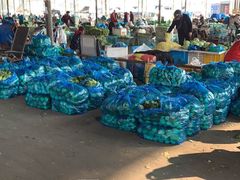 -江杨农产品批发市场