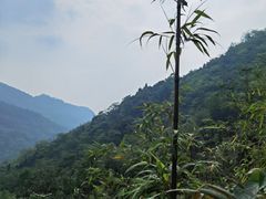 -龙窝子