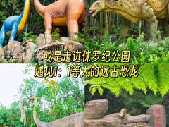 -佛冈森波拉度假区