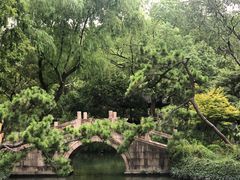 -上海醉白池公园