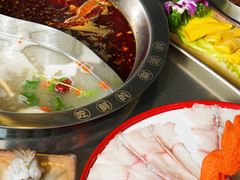 -七秒鱼·斑鱼火锅(太阳城店)