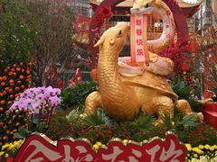 -越秀西湖花市(广州城市广场花卉店)