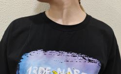 -颜和骨正·明哲式骨相美学整骨