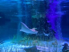 -沈阳海洋探索中心