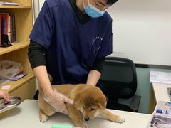 -中农大我爱我爱动物医院·核磁CT·猫病·24小时夜诊中心(石佛营店)