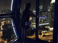 -新加坡摩天观景轮