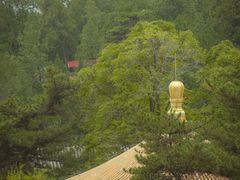 -潭柘寺景区