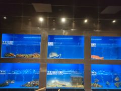 水产区-金时代顺风大酒店(临港百联店)