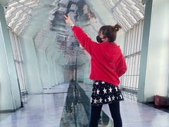 -上海环球金融中心骑迹50年环球之旅
