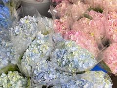 -循礼门鲜花花市(武汉循礼门店)