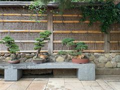 -龙华素斋(龙华路店)