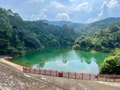 -佛山市三水区大南山森林公园