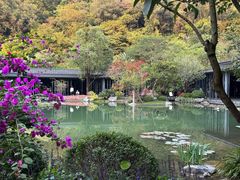-云溪植物园